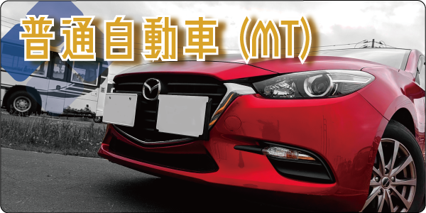 普通自動車（ＭＴ）